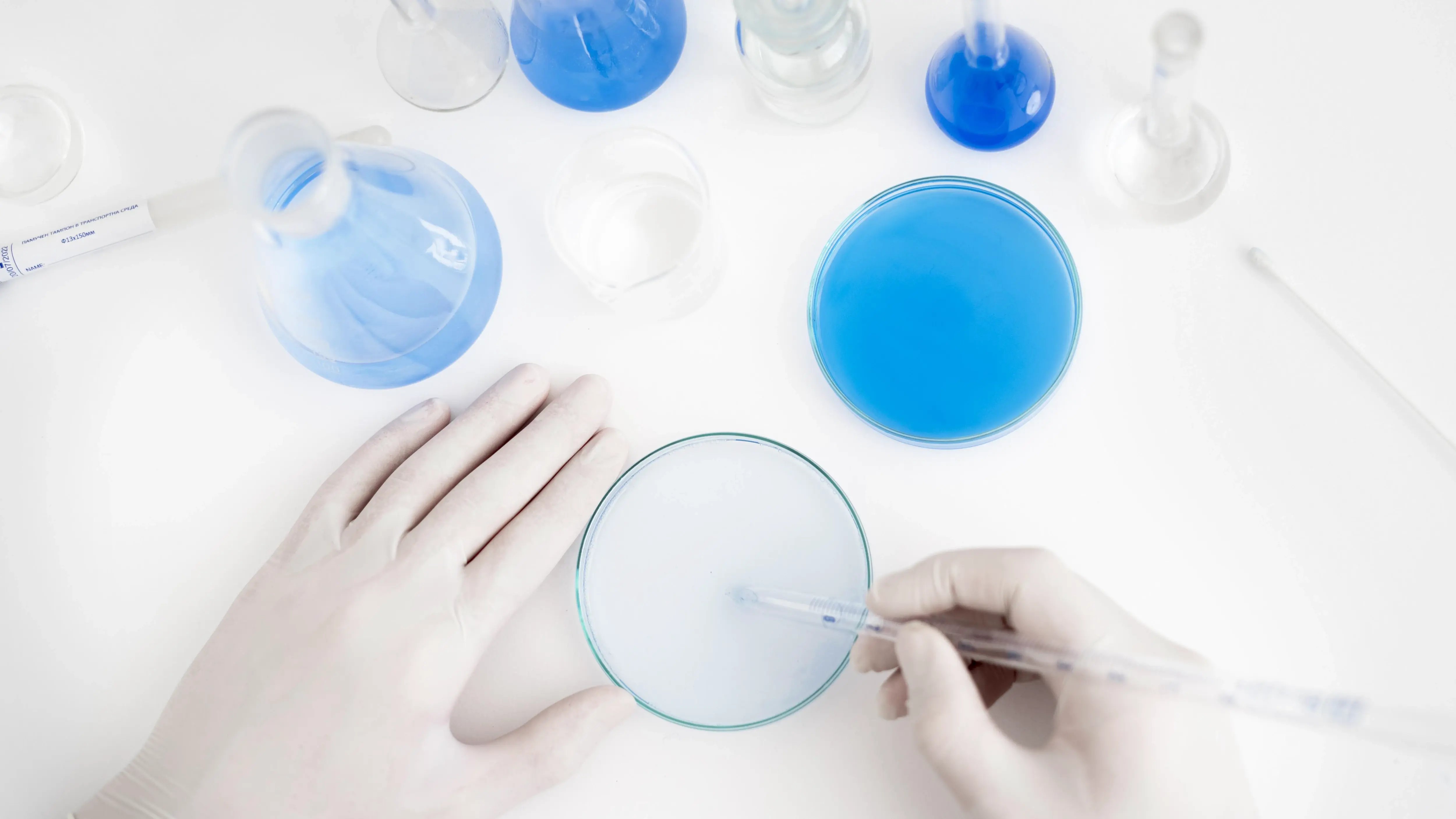 close-up-hands-with-pipette-petri-dish 7